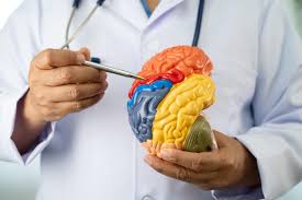 Neurosurgery