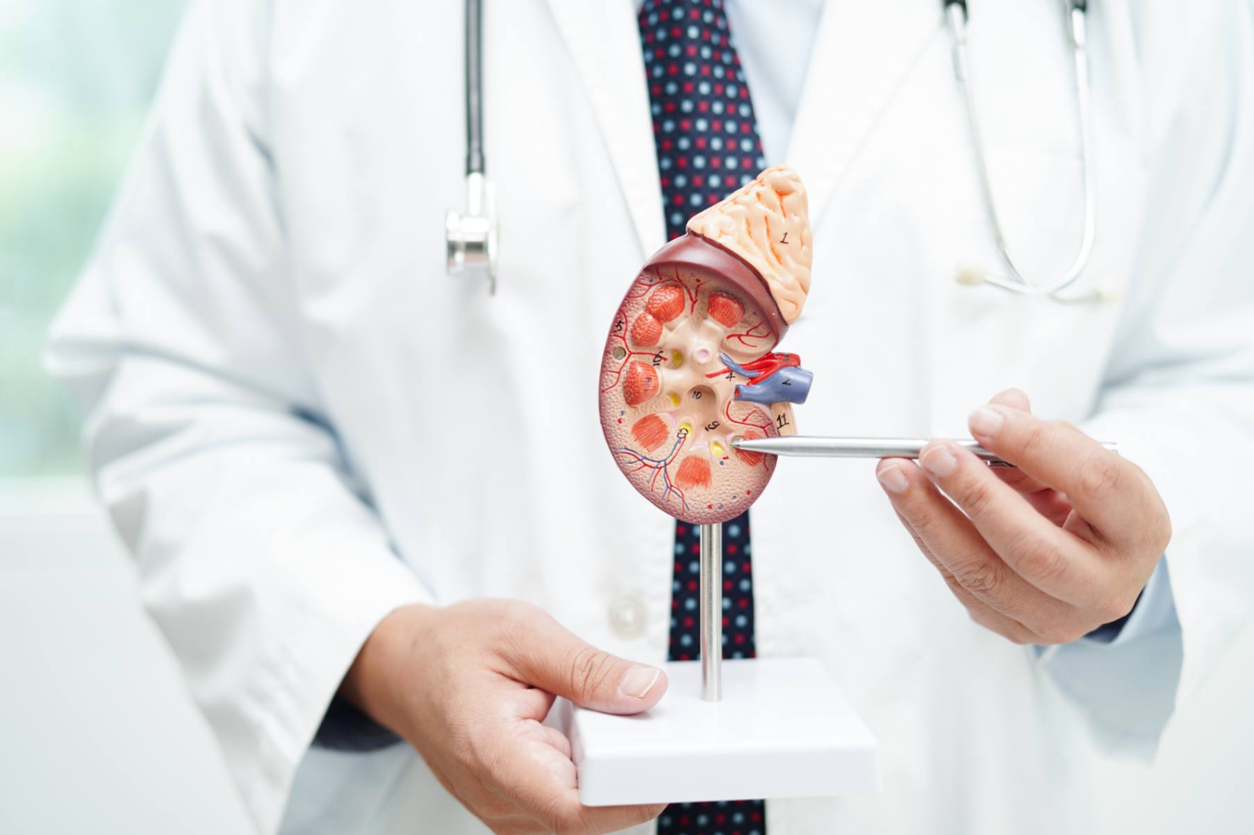 Urology